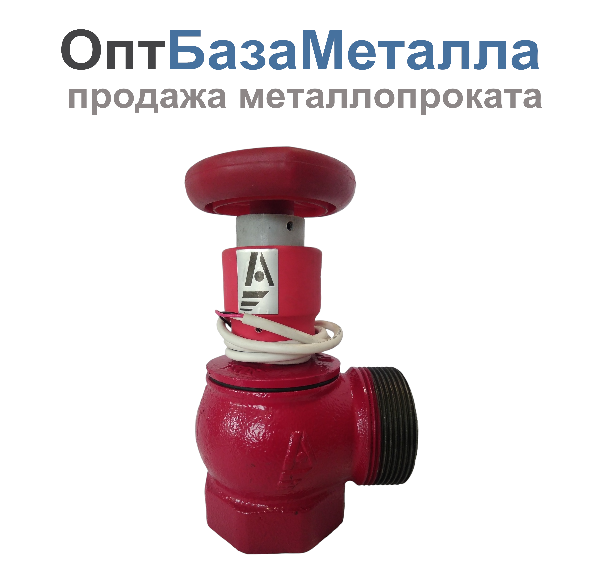 Клапан пожарн чугун угл 90 гр КПЧМ 50-1 Ду 50 1,6000 ммПа муфта-цапка с датч пол ДППК 24 Апогей 110030, DN 50